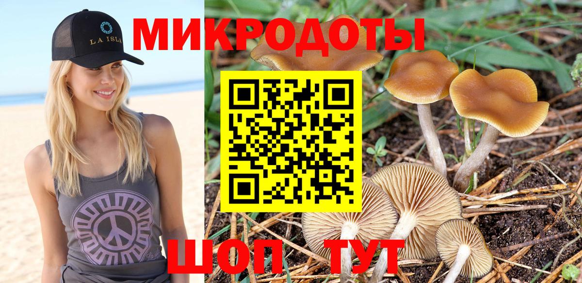 Кинешма  Галлюциногенные грибы Magic Shrooms  Вход с VPN 